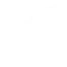 icono seo optimizado