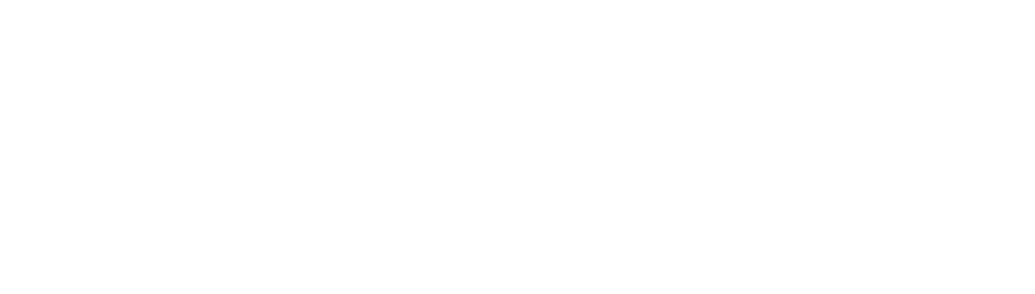 en esta imagen vemos al logotipo de la marca nodopress seo local